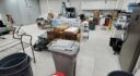 For Lease Office/warehouse 3,700 SF